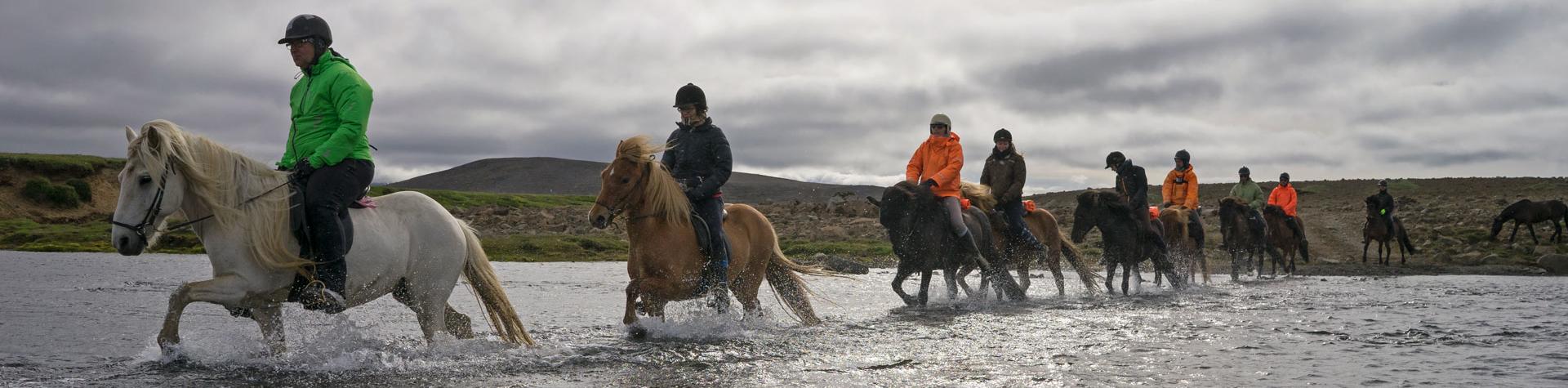 Horse riding in Iceland.