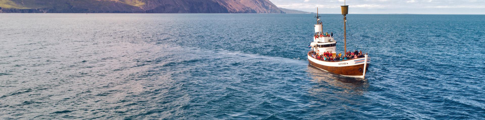 Whale watching in Iceland.