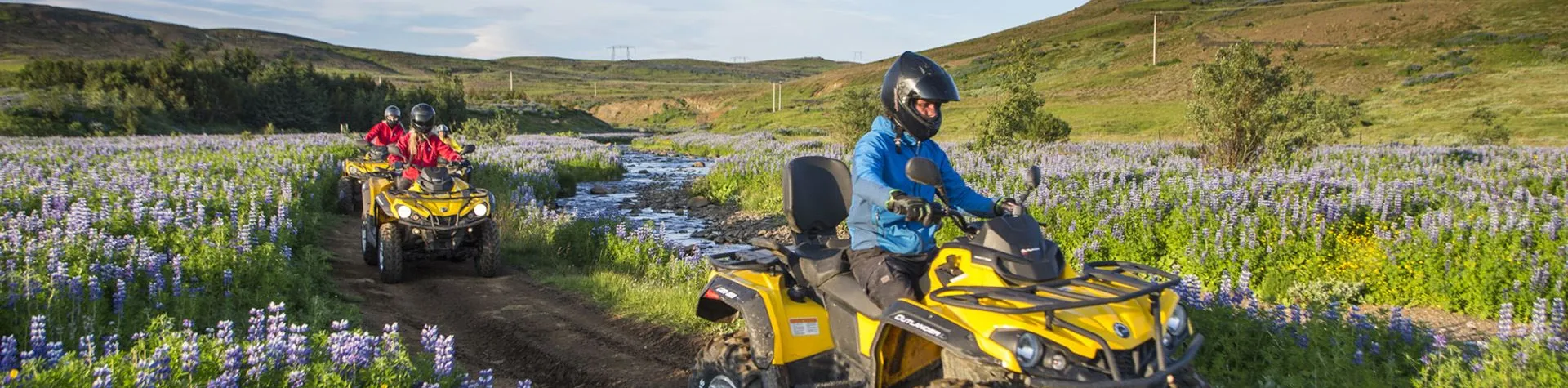 ATV & Whale Watching (9 AM/8 hrs) (H02)