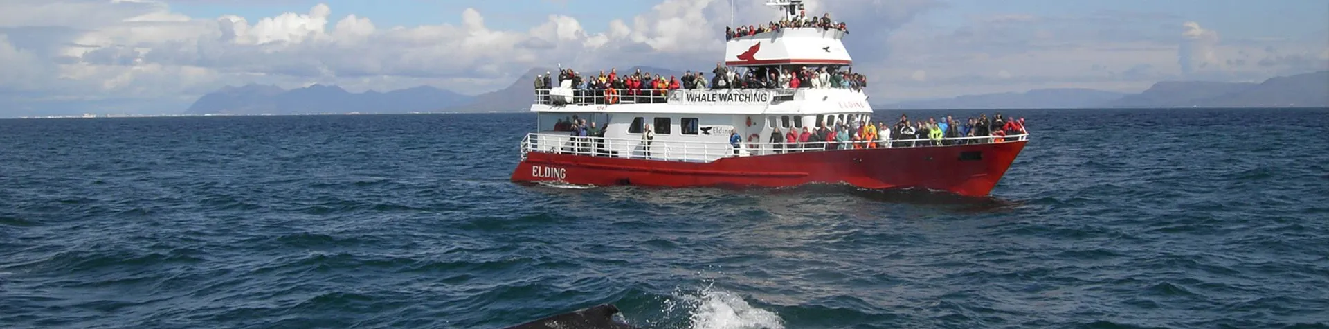 ATV & Whale Watching (9 AM/8 hrs) (H02)