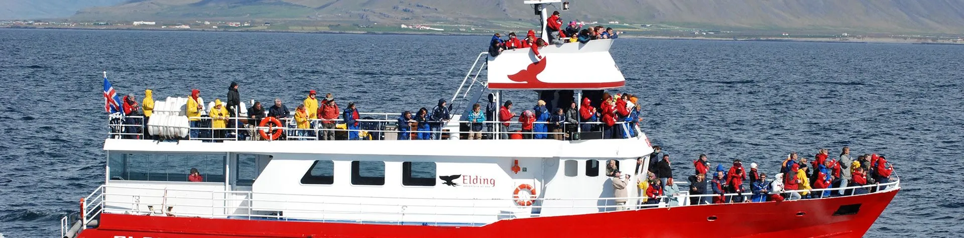 ATV & Whale Watching (9 AM/8 hrs) (H02)