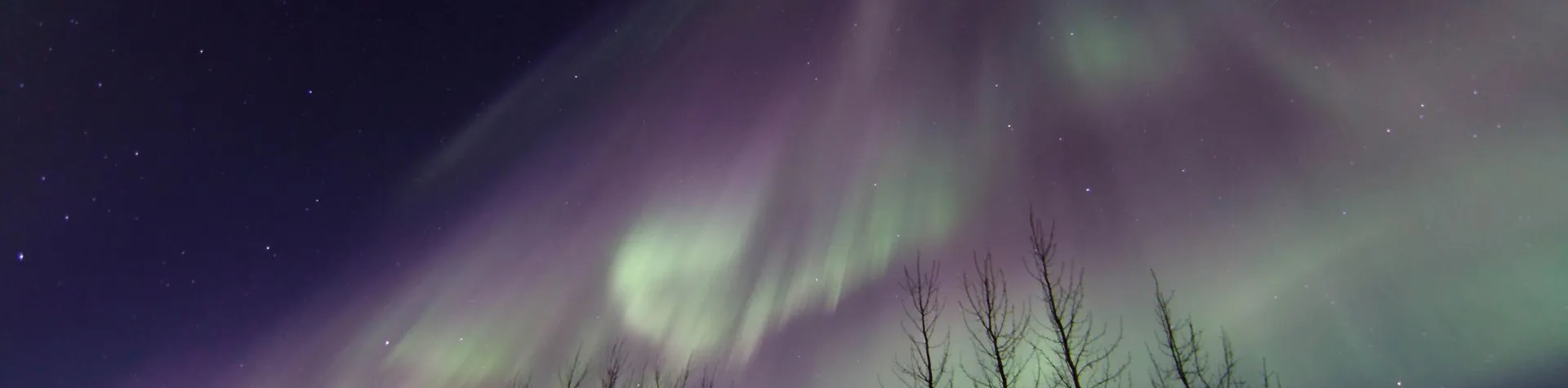 The Northern Lights Tour (9.30 PM/3 hrs) (A08)