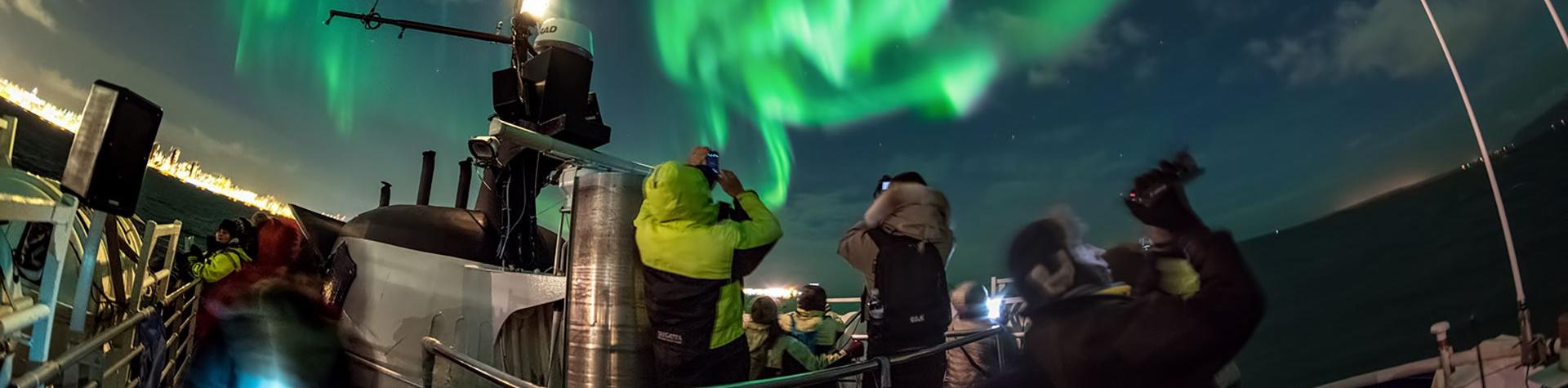 Northern Lights by Boat