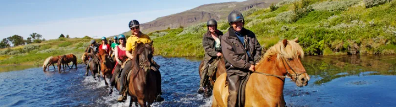 Riders on Icelandic horses crossing a shallow stream in a green landscape.