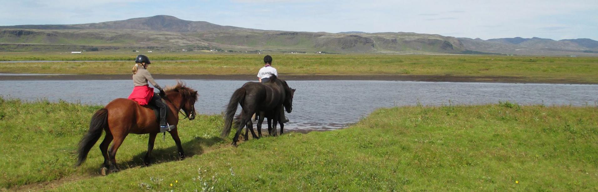Ridning, Islandshäst