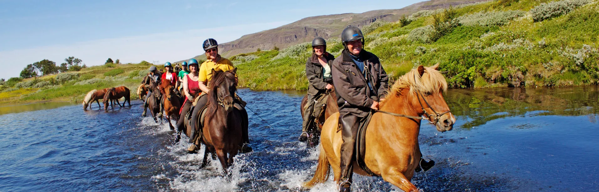 Riders on Icelandic horses crossing a shallow stream in a green landscape.