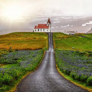  Self drive tours Westfjords and Sneafellsnes: Flatey island, west of Iceland.