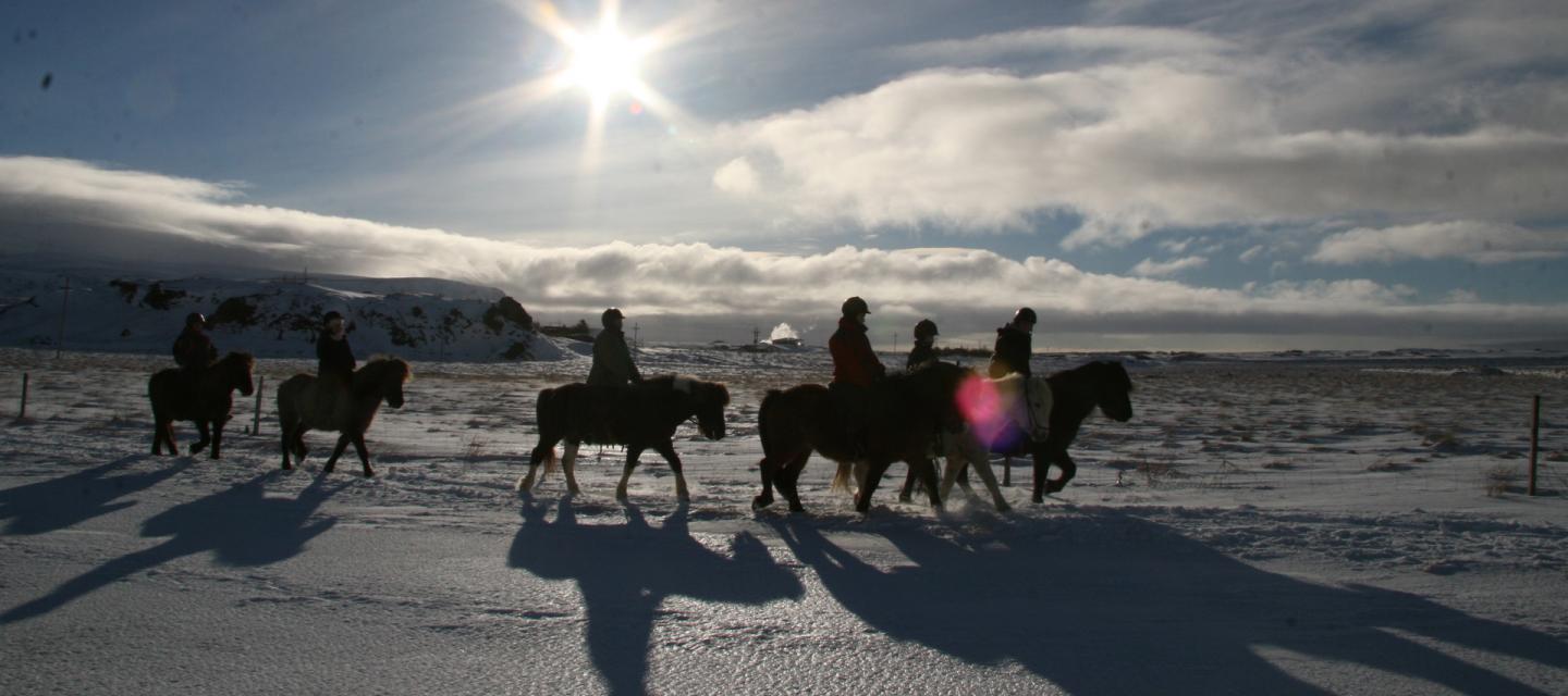 Winter horseback riding in Iceland.